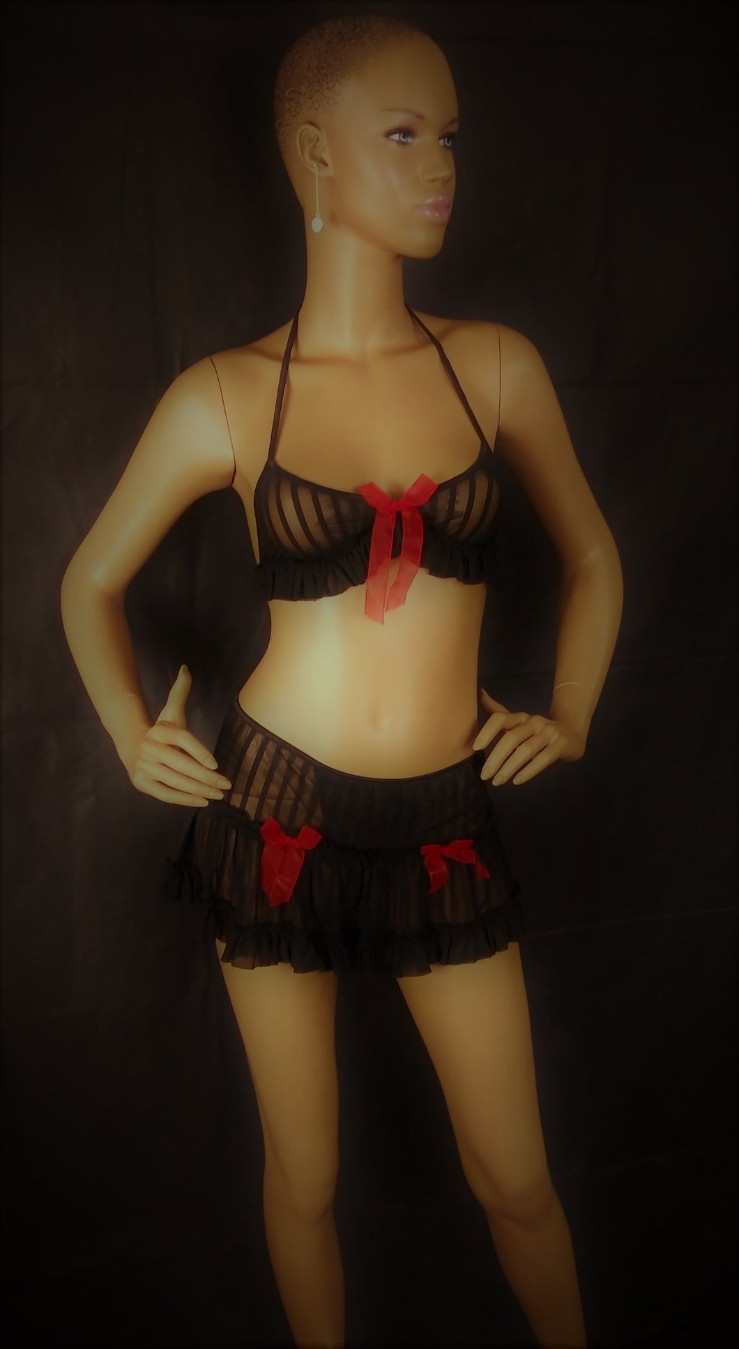 2 Pc Sheer Bra and Skirt Set